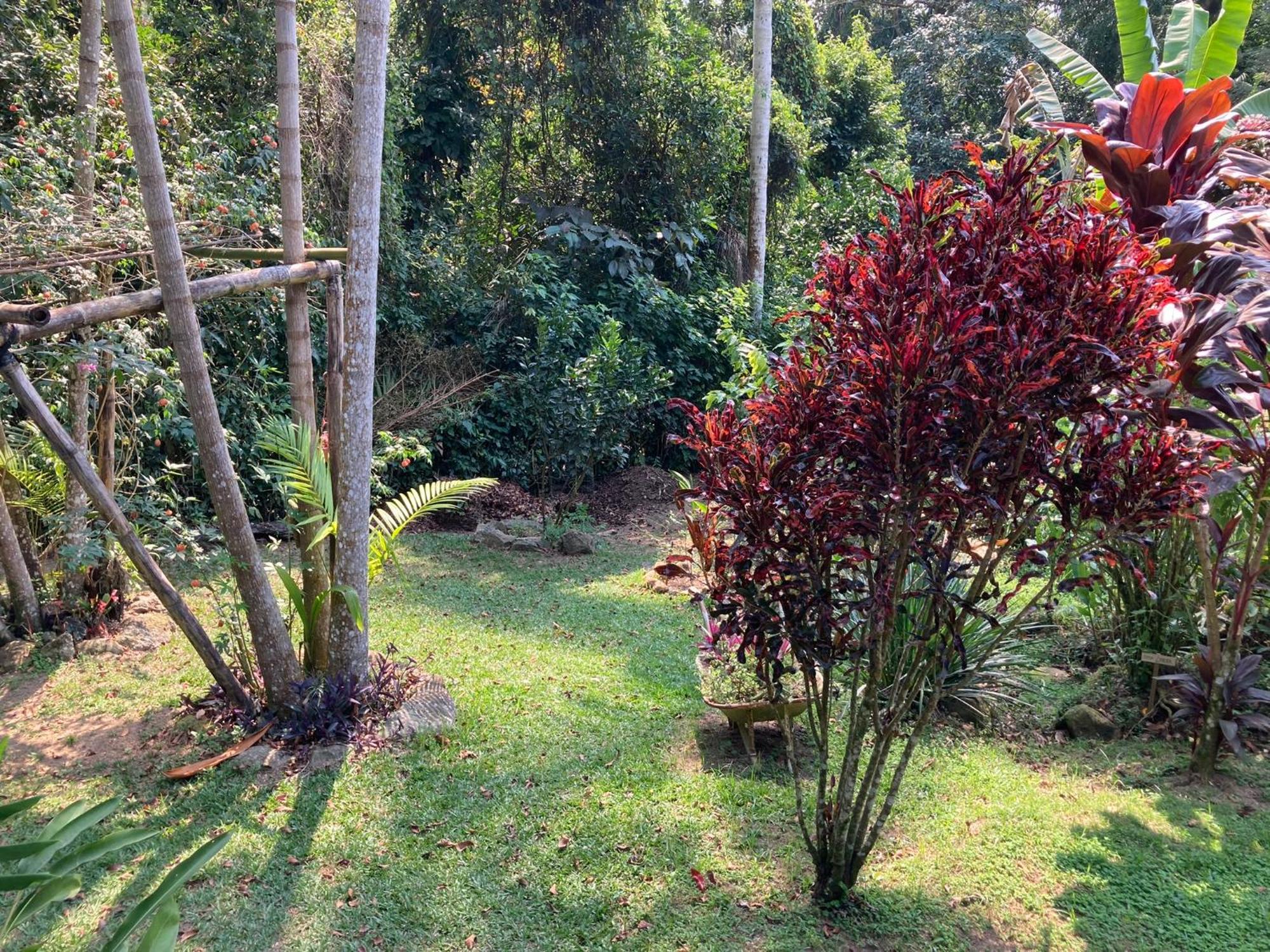 Casa Arariba - Ilha Grande - Vila Do Abraao Luaran gambar